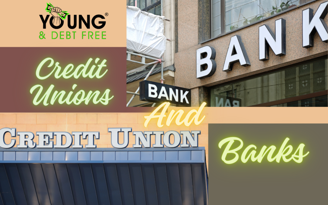 What are credit unions and banks?